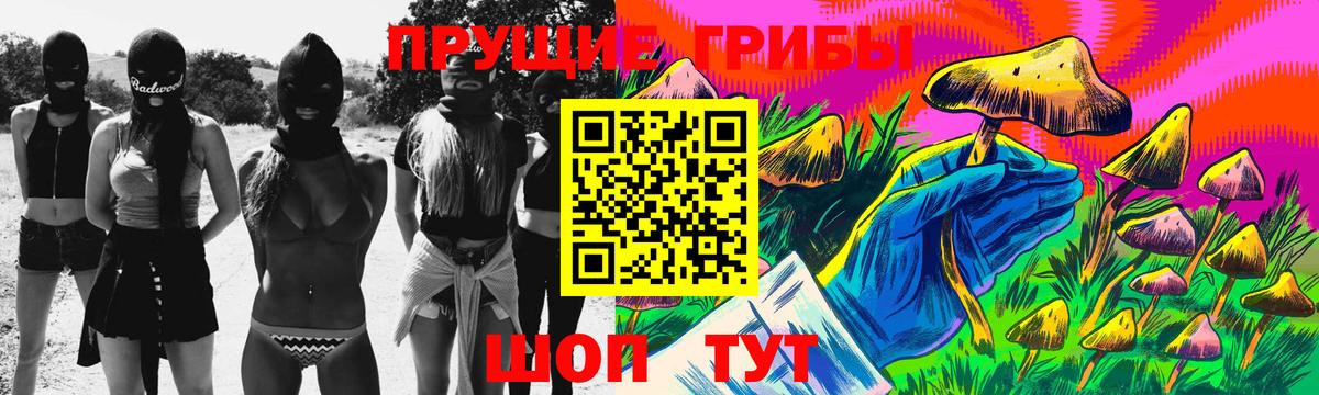 Псилоцибиновые грибы мухоморы  Вход с VPN  закладки  Бердск 