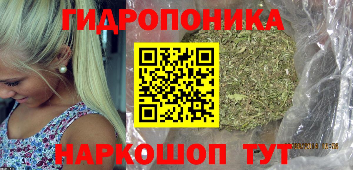 Марихуана планчик  Вход с VPN  МАРИХУАНА Bruce Banner  Каннабис THC 21%  Бердск 