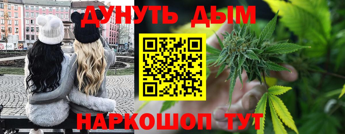 Бошки Шишки сатива Бердск